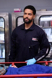 Henderson Wade als Dr. Loren Johnson