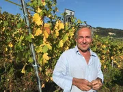 Winzer beim Genfersee