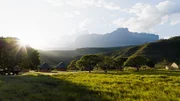 Fast 2500 Meter hoch ragt der Auyan-Tepui &uuml;ber der Savanne im S&uuml;den Venezuelas auf: Von seinen Steilw&auml;nden st&uuml;rzt unter anderem der h&ouml;chste Wasserfall der Welt in die Tiefe &ndash; der Salto &Aacute;ngel. In der Siedlung Kavak, am Fu&szlig; des Tepuis, entsteht das Basislager der Expedition.