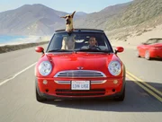 Nach seinem Umzug mit Herrchen Phil Winslow (Lee Pace, r.), muss Dogge Marmaduke (l.) auf der Suche nach neuen Freunden lernen, worauf es im Leben wirklich ankommt ...