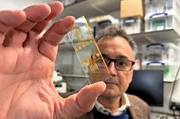 Hirnstimulation und Bioelektronik werden weltweit erforscht. Einer der Vorreiter auf diesem Gebiet: George Malliaras. Der Ingenieurwissenschaftler entwickelt mit seinem Team an der renommierten Universit&auml;t von Cambridge Neuro-Implantate der n&auml;chsten Generation.