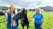 Nina (links) und Conny (Cornelia Abfalter) mit einem Leonharderfohlen.
