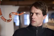 &Uuml;berfall im Museum: Bei seinen Ermittlungen wird Mattes (Matthias Schloo) von einer giftigen Schlange gebissen.