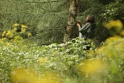Damit Wildschwein, Reh und Fuchs noch lange im Wald zu finden sind, spielt die Waldpädagogik eine immer größere Rolle: Mit Waldkindergärten, -schulen oder -freizeiten werden Stadtkinder wieder an ihre natürliche Umwelt herangeführt. Auch Waldpädagogin Melanie Schwarzmeier tastet sich täglich gemeinsam mit den Kindern horchend und schmeckend durch den Naturpark Frankenwald. Damit Wildschwein, Reh und Fuchs noch lange im Wald zu finden sind, spielt die Waldpädagogik eine immer größere Rolle: Mit Waldkindergärten, -schulen oder -freizeiten werden Stadtkinder wieder an ihre natürliche Umwelt herangeführt. Auch Waldpädagogin Melanie Schwarzmeier tastet sich täglich gemeinsam mit den Kindern horchend und schmeckend durch den Naturpark Frankenwald.