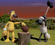 ARD/WDR SHAUN, DAS SCHAF (31), "Die Kokosnuss!", am Samstag (30.11.13) um 06:33 Uhr im ERSTEN. Ist Shaun ein guter Nussknacker? Bitzer kommen Zweifel. ARD/WDR SHAUN, DAS SCHAF (31), "Die Kokosnuss!", am Samstag (30.11.13) um 06:33 Uhr im ERSTEN. Ist Shaun ein guter Nussknacker? Bitzer kommen Zweifel.