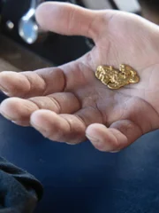 A gold nugget