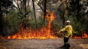 Einsatzkr&auml;fte beim Waldbrand.