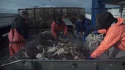 The crew of the Northwestern sorting crab.