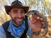 Coyote hold the blue tongued skink.