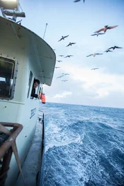 Young Brenna A Captain Sean Dwyer gets some fresh air.