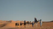 Harald Lesch an der Spitze einer Karawane im Erg Chebbi, Marokko Harald Lesch an der Spitze einer Karawane im Erg Chebbi, Marokko