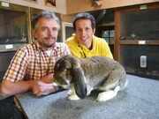 Willi bei Kaninchenz&uuml;chter Albert Voithenleitner