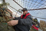 Unafraid to get his hands dirty, Brenna A Captain Sean Dwyer helps his crew rig pots.