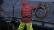 A deckhand on the Northwestern throws lines overboard.