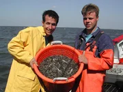 Willi Weitzel hilft mit den Fang an Bord zu holen.