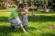 Nach dem Winter überprüft Peter Rasch den Rasen. Nach dem Winter überprüft Peter Rasch den Rasen.