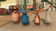 Die Muskeltiere geben aufeinander acht.