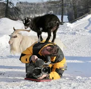 Kameramann Franz Posch wurde rasch in der Ziegenbande aufgenommen.