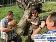 Ab nun muss Hausherrin, F&uuml;chsin Foxi, ihr Gehege teilen.