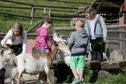 Kinderbauernhof: Mit der Ziegenbande am Kinderbauernhof.