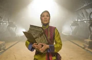 Die Hexe Zi Yuan (Michelle Yeoh) wei&szlig; angeblich wie man ewiges Leben erh&auml;lt und den Tod besiegen kann. Sie wird von General Ming Guo in den Kaiserpalast gebracht, um Kaiser Han kennenzulernen ...