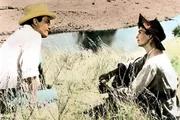 Julie (Jean Simmons) erkl&auml;rt sich bereit, die Big Muddy an McKay (Gregory Peck) zu verkaufen, zumal dieser sich verpflichtet, auch Hannasseys Vieh den Zugang zu der begehrten Wasserstelle zu gestatten.