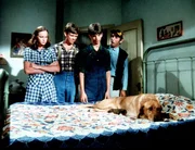 Reckless hat Junge geworfen. Erin (Mary Beth McDonough, l.), Ben (Eric Scott, 2.v.l.) und Jim (David W. Harper, 2.v.r.) betrachten die kleinen Welpen ...