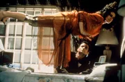 Schaffen es Dr. Peter Venkman (Bill Murray) und seine "Kollegen", die von D&auml;monen besessene Sch&ouml;nheit Dana Barrett (Sigourney Weaver) zu retten?