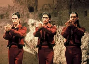 Flamencot&auml;nzer.