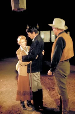 James McKay (Gregory Peck, Mi.) reist in den Wilden Westen, um Patricia (Carroll Baker, li.), die Tochter von Major Terrill (Charles Bickford, re.), dem Besitzer der riesigen Ladder Ranch, zu heiraten.