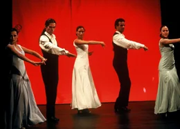 "Flamenco der Liebe". Im Bild: Flamencot&auml;nzer.