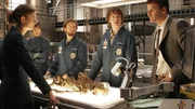 In einem Waldst&uuml;ck wird die stark verweste Leiche eines jungen M&auml;dchens gefunden. Nach eingehender Untersuchung wird (v.l.) Brennan (Emily Deschanel), Cam (Tamara Taylor), Hodgins (T.J. Thyne), Zack Addy (Eric Millegan) und Booth (David Boreanaz) klar, dass es sich um die Tat eines alten Bekannten handeln muss, den Serienkiller Howard Epps, der seit sieben Jahren im Gef&auml;ngnis sitzt und auf seine Hinrichtung wartet. Hat er drau&szlig;en einen Komplizen?