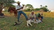 Die Reviere der Jaguare liegen oft auf Farmland, und von Zeit zu Zeit rei&szlig;en die Raubkatzen Rinder. Die Zukunft des Pantanal h&auml;ngt ma&szlig;geblich davon ab, ob es gelingen wird, Naturschutz und wirtschaftliche Ziele unter einen Hut zu bringen.