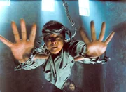 Jet Li (Foto) hat alles im Griff..