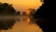 Das brasilianische Pantanal in der Morgend&auml;mmerung. Die Flussniederung im S&uuml;dwesten Brasiliens weist eine beeindruckende Tierwelt auf.