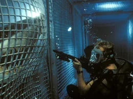 Wie Carter Blake (Thomas Jane) feststellen muss, wird das Verhalten der Haie immer aggressiver.