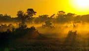 Das brasilianische Pantanal in der Morgend&auml;mmerung. Die Flussniederung im S&uuml;dwesten Brasiliens weist eine beeindruckende Tierwelt auf.