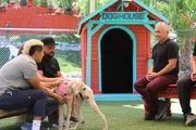 Cesar Millan im Gespräch mit der Familie Mejia mit einem potenziellen Hund für ihren Vermittlungsfall. (National Geographic) Cesar Millan im Gespräch mit der Familie Mejia mit einem potenziellen Hund für ihren Vermittlungsfall. (National Geographic)