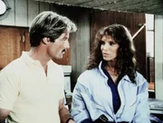 Die attraktive Pilotin Denise (Ann Turkel) erzählt Cody (Perry King), wie sie den exentrischen Erfinder und Millionär Baxter Bernard kennengelernt hat. Die attraktive Pilotin Denise (Ann Turkel) erzählt Cody (Perry King), wie sie den exentrischen Erfinder und Millionär Baxter Bernard kennengelernt hat.