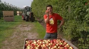 Andr&eacute; will wissen, wie der Apfel in den Supermarkt kommt.