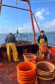 Tour auf dem Loch Ryan vor Stranraer, s&uuml;dliches Schottland