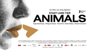 Keyvisual, Animals - Stadt Land Tier