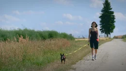 Ob die Fahrt mit dem Schulbus oder die t&auml;gliche Runde mit dem Hund: Die Bewegungen der Sch&uuml;lerin Emma lassen sich &uuml;ber Handy-Standortdaten pr&auml;zise nachvollziehen.