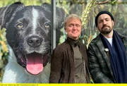 K&ouml;ppen ins Wasser &ndash; &auml;h in die Kurzstrecke. Mit Moderator Jan K&ouml;ppen (Ninja Warrior, IBES) und seiner H&uuml;ndin Suki spaziert unser Host Pierre M. Krause durch den K&ouml;lner Stadtwald &ndash; und trotzdem wird dabei &uuml;ber den Dschungel geredet.