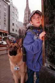 Raphael Ghobadloo (Benny Nachmann).