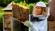&bdquo;Durch das Imkern habe ich gelernt, welche Bl&uuml;ten Honigbienen am liebsten anfliegen und was Wildbienen oder Schmetterlinge besonders anzieht.&ldquo;