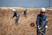 Aufr&auml;umarbeiten in Fukushima.