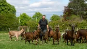 Auf dem Biohof von Ilona Kuhnen wird den ganzen Tag gemeckert. Rund 20 Ziegen leben auf dem Ziegenhof in R&ouml;sberg, einem Ortsteil von Bornheim.