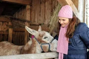 ARD STURM DER LIEBE FOLGE 1245. Eva (Uta Kargel) ist hingerissen von dem kleinen Esel Emil, doch dann erf&auml;hrt sie etwas Entsetzliches...