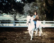 Jonathan (Michael Landon) wird auch mit dem schwierigen "Hurricane" gut fertig.